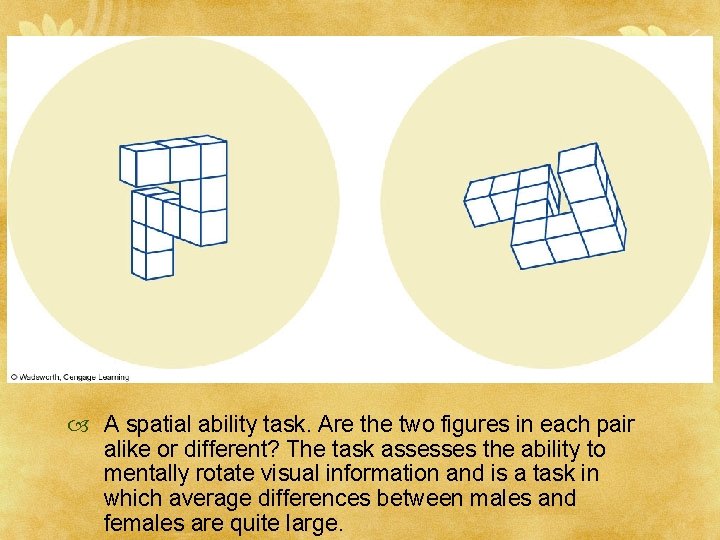  A spatial ability task. Are the two figures in each pair alike or
