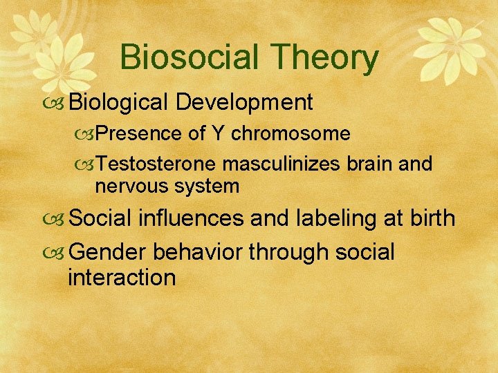 Biosocial Theory Biological Development Presence of Y chromosome Testosterone masculinizes brain and nervous system