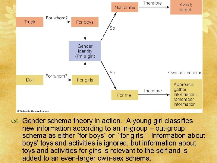  Gender schema theory in action. A young girl classifies new information according to