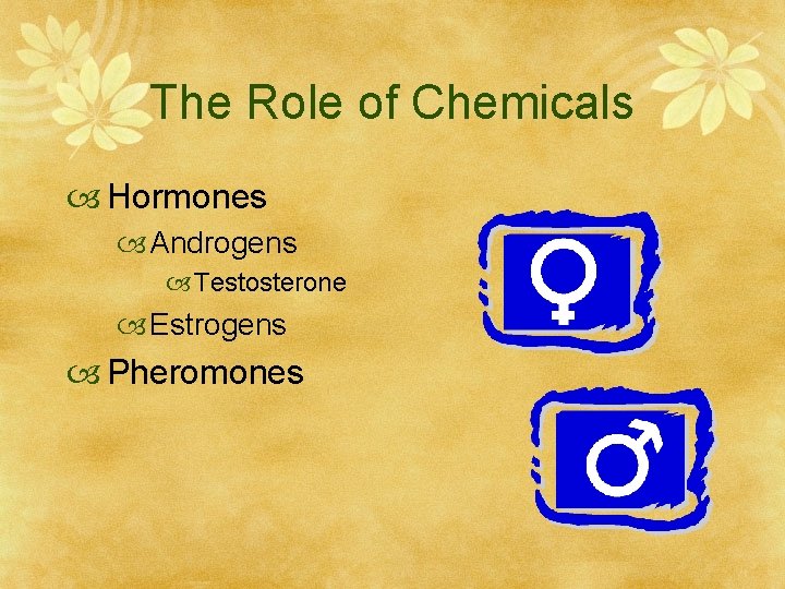 The Role of Chemicals Hormones Androgens Testosterone Estrogens Pheromones 