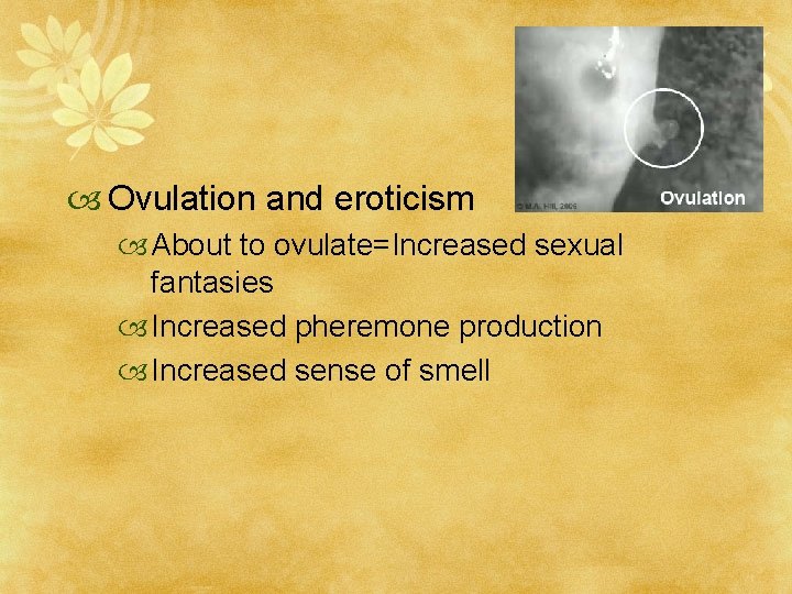  Ovulation and eroticism About to ovulate=Increased sexual fantasies Increased pheremone production Increased sense