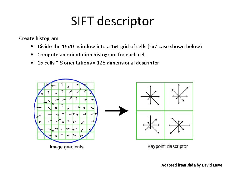 SIFT descriptor Create histogram • Divide the 16 x 16 window into a 4