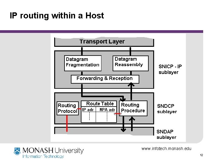 IP routing within a Host www. infotech. monash. edu 12 