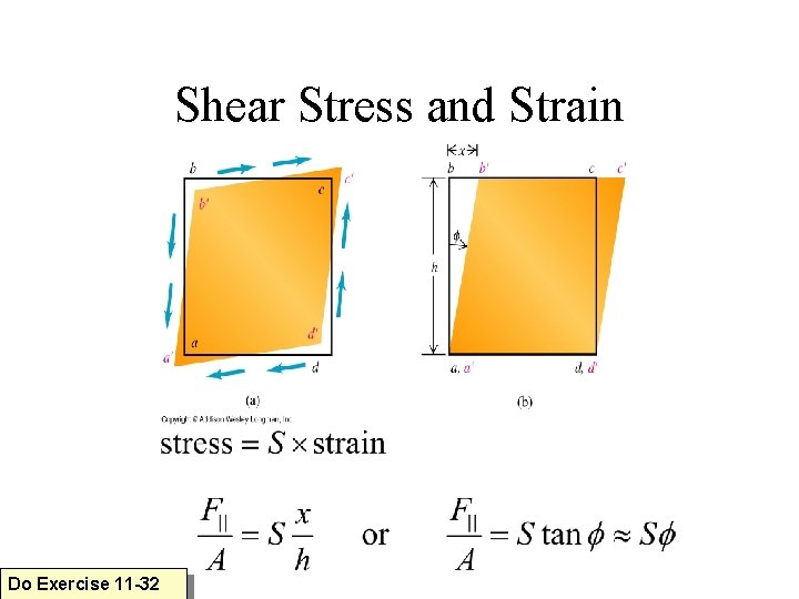 Shear Stress and Strain Do Exercise 11 -32 
