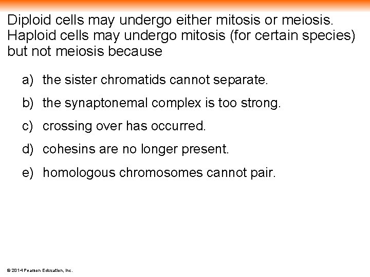 Diploid cells may undergo either mitosis or meiosis. Haploid cells may undergo mitosis (for