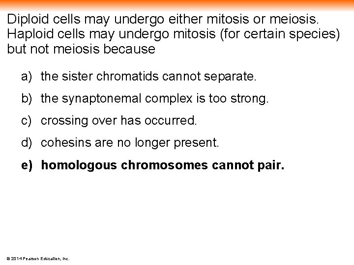 Diploid cells may undergo either mitosis or meiosis. Haploid cells may undergo mitosis (for