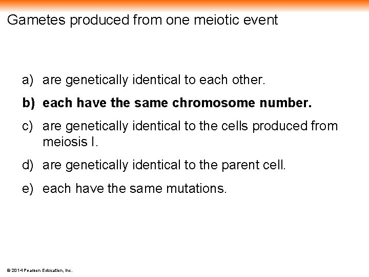 Gametes produced from one meiotic event a) are genetically identical to each other. b)
