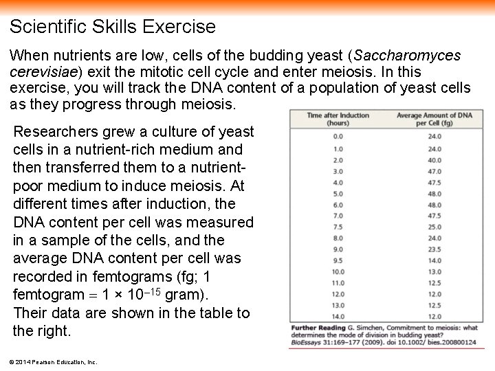 Scientific Skills Exercise When nutrients are low, cells of the budding yeast (Saccharomyces cerevisiae)