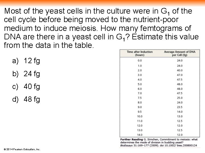 Most of the yeast cells in the culture were in G 1 of the