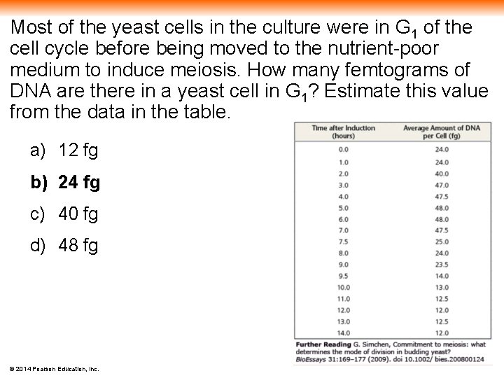 Most of the yeast cells in the culture were in G 1 of the