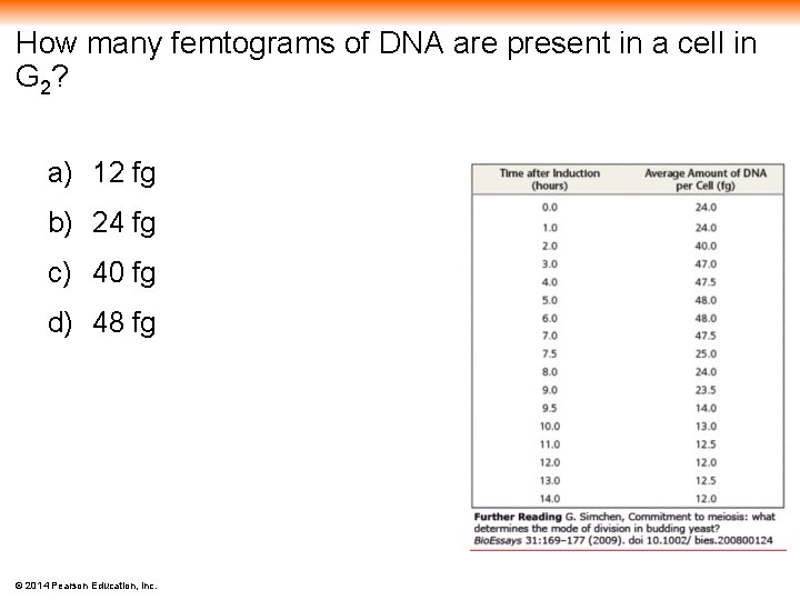 How many femtograms of DNA are present in a cell in G 2? a)