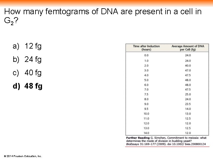 How many femtograms of DNA are present in a cell in G 2? a)