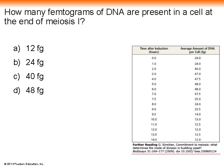 How many femtograms of DNA are present in a cell at the end of