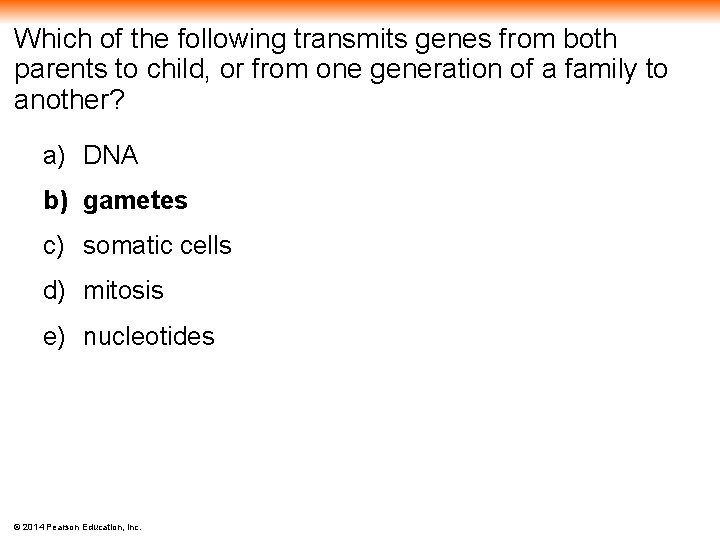 Which of the following transmits genes from both parents to child, or from one