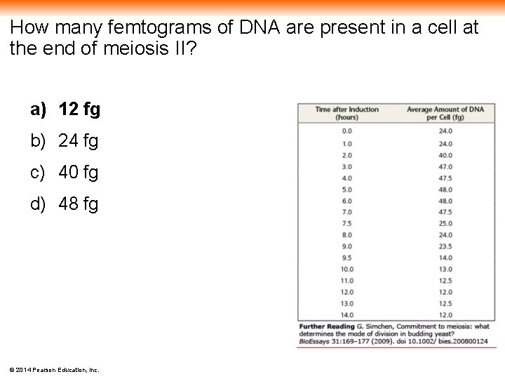 How many femtograms of DNA are present in a cell at the end of