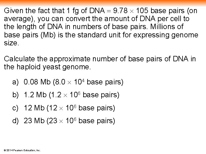 Given the fact that 1 fg of DNA 9. 78 105 base pairs (on