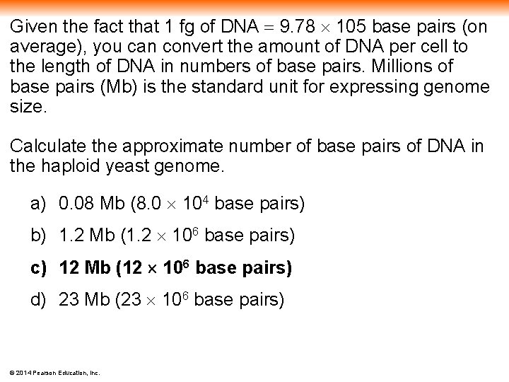 Given the fact that 1 fg of DNA 9. 78 105 base pairs (on