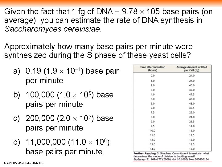 Given the fact that 1 fg of DNA 9. 78 105 base pairs (on