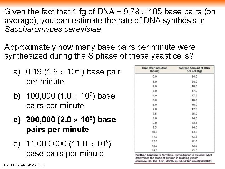 Given the fact that 1 fg of DNA 9. 78 105 base pairs (on