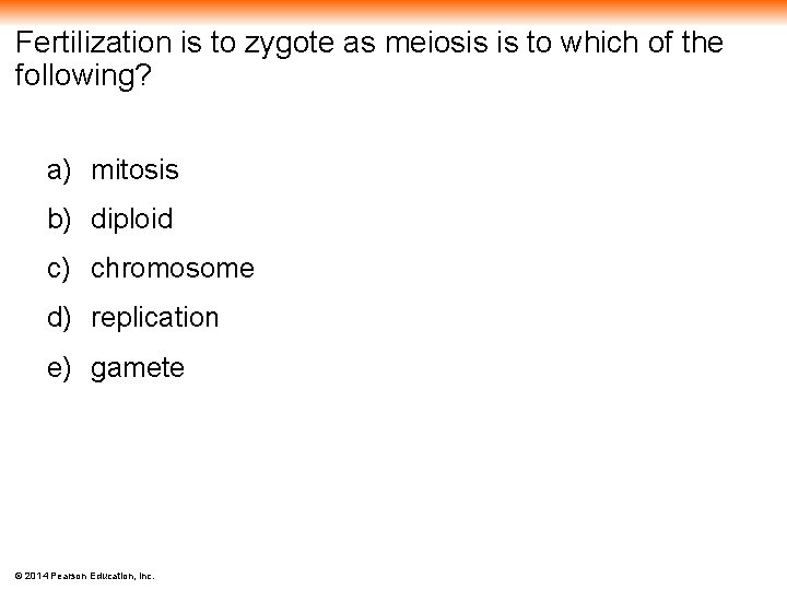 Fertilization is to zygote as meiosis is to which of the following? a) mitosis