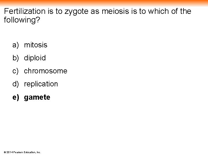 Fertilization is to zygote as meiosis is to which of the following? a) mitosis