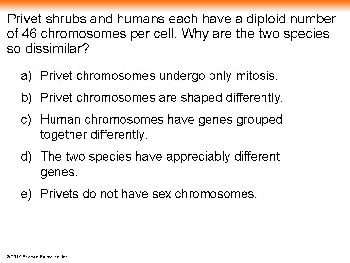 Privet shrubs and humans each have a diploid number of 46 chromosomes per cell.