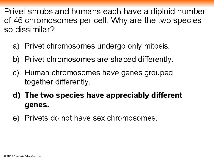 Privet shrubs and humans each have a diploid number of 46 chromosomes per cell.