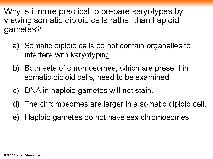 Why is it more practical to prepare karyotypes by viewing somatic diploid cells rather