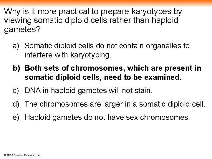 Why is it more practical to prepare karyotypes by viewing somatic diploid cells rather