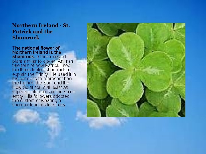 Northern Ireland - St. Patrick and the Shamrock The national flower of Northern Ireland