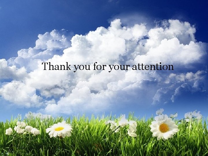 Thank you for your attention 