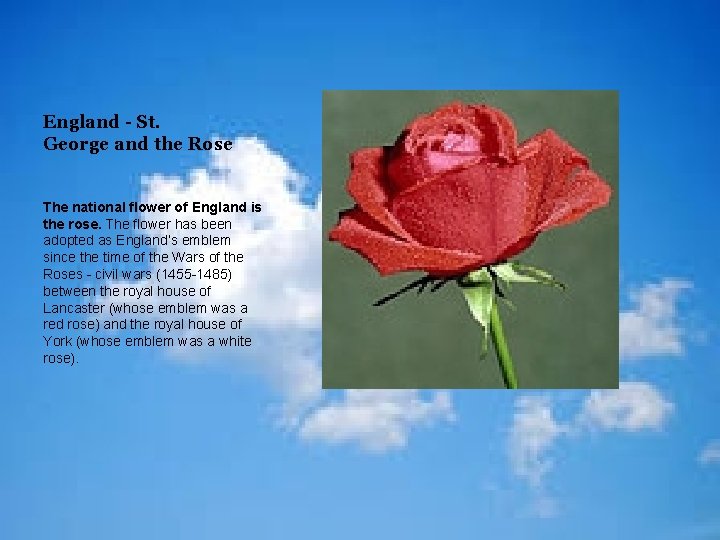England - St. George and the Rose The national flower of England is the