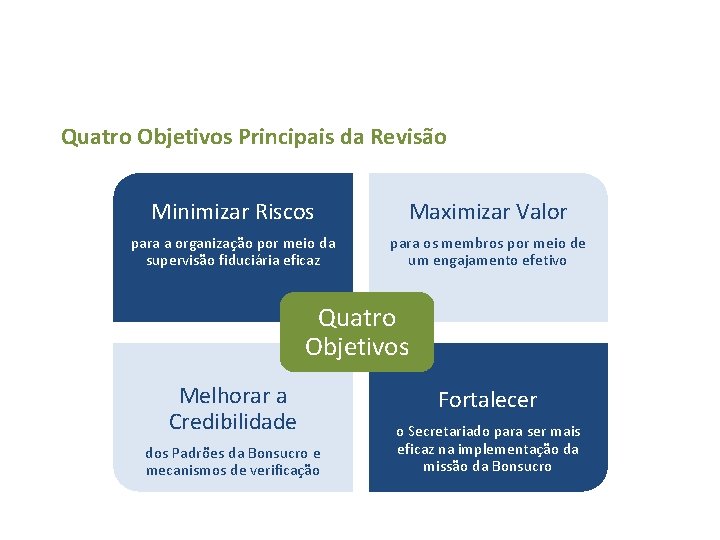 Quatro Objetivos Principais da Revisão Minimizar Riscos Maximizar Valor para a organização por meio