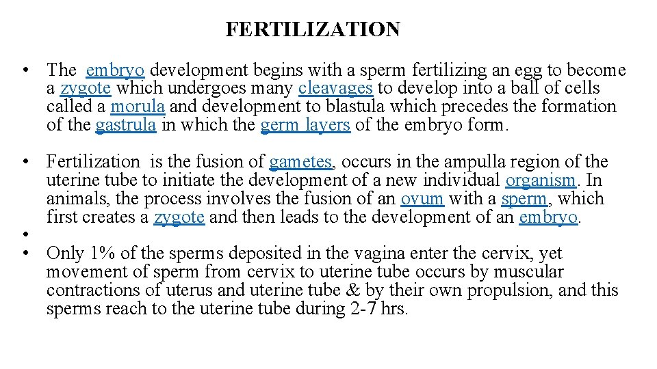 FERTILIZATION • The embryo development begins with a sperm fertilizing an egg to become