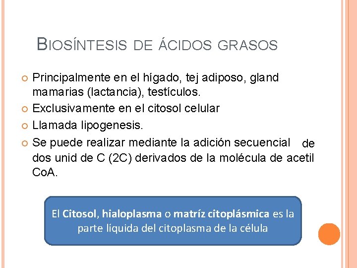 BIOSÍNTESIS DE ÁCIDOS GRASOS Principalmente en el hígado, tej adiposo, gland mamarias (lactancia), testículos.