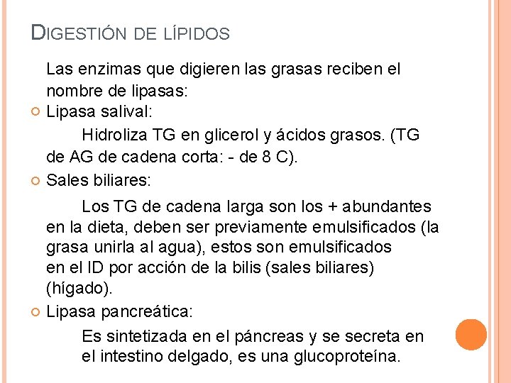 DIGESTIÓN DE LÍPIDOS Las enzimas que digieren las grasas reciben el nombre de lipasas: