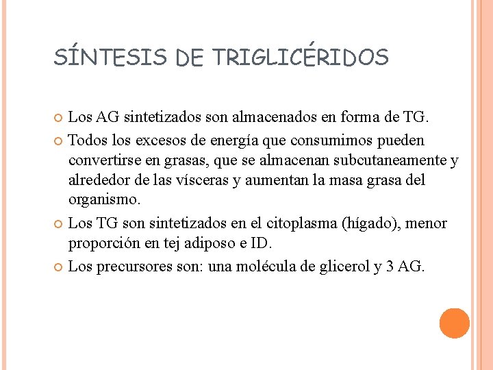 SÍNTESIS DE TRIGLICÉRIDOS Los AG sintetizados son almacenados en forma de TG. Todos los