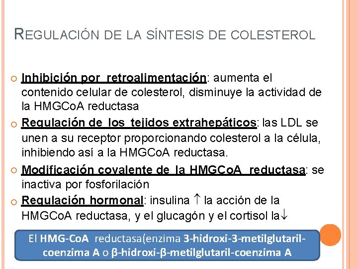 REGULACIÓN DE LA SÍNTESIS DE COLESTEROL Inhibición por retroalimentación: aumenta el contenido celular de