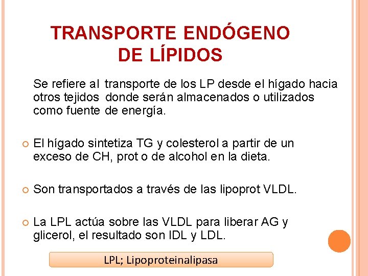 TRANSPORTE ENDÓGENO DE LÍPIDOS Se refiere al transporte de los LP desde el hígado