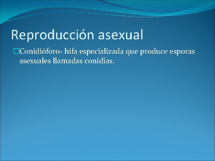 Reproducción asexual �Conidióforo- hifa especializada que produce esporas asexuales llamadas conidias. 