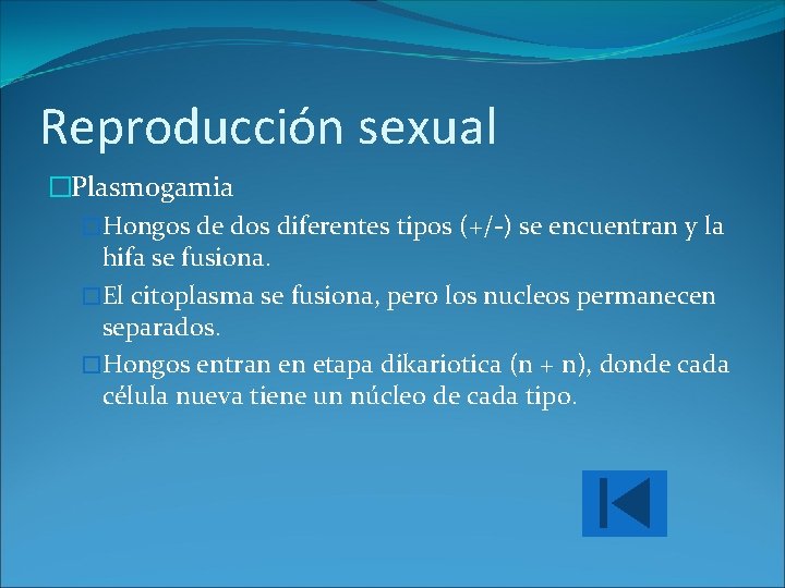 Reproducción sexual �Plasmogamia �Hongos de dos diferentes tipos (+/-) se encuentran y la hifa