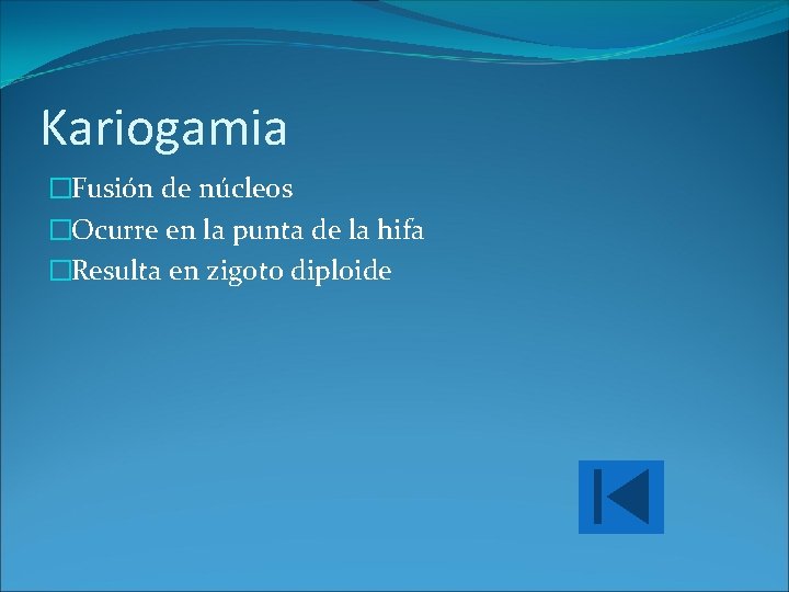 Kariogamia �Fusión de núcleos �Ocurre en la punta de la hifa �Resulta en zigoto