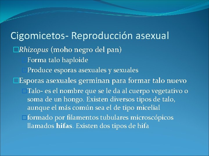 Cigomicetos- Reproducción asexual �Rhizopus (moho negro del pan) �Forma talo haploide �Produce esporas asexuales