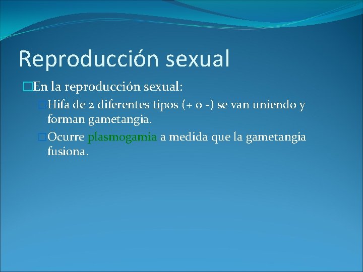 Reproducción sexual �En la reproducción sexual: �Hifa de 2 diferentes tipos (+ o -)