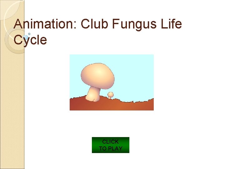 Animation: Club Fungus Life Cycle CLICK TO PLAY 