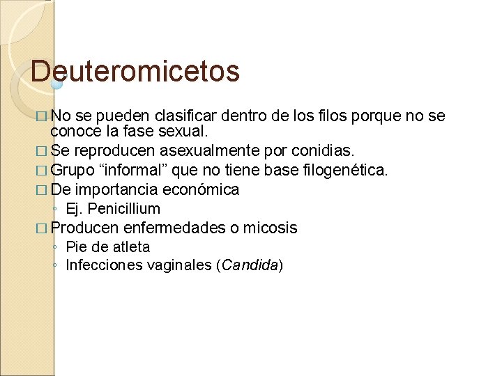 Deuteromicetos � No se pueden clasificar dentro de los filos porque no se conoce