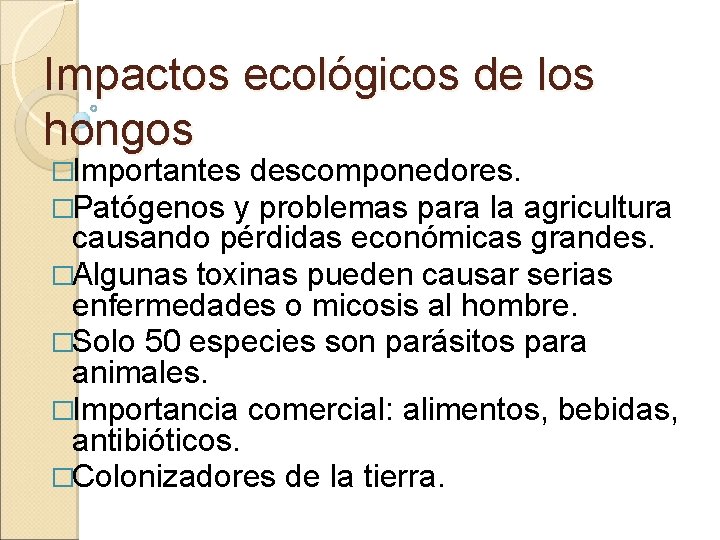 Impactos ecológicos de los hongos �Importantes descomponedores. �Patógenos y problemas para la agricultura causando