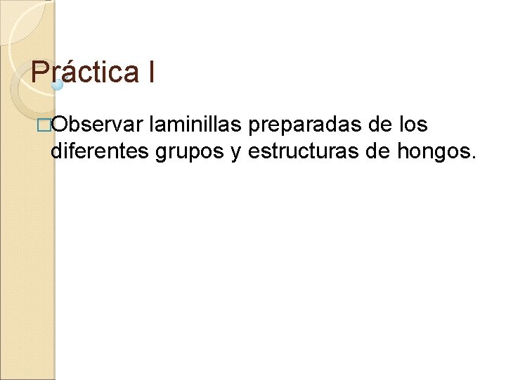 Práctica I �Observar laminillas preparadas de los diferentes grupos y estructuras de hongos. 