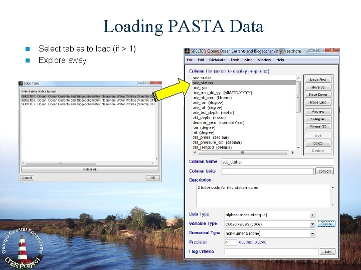 Loading PASTA Data n n Select tables to load (if > 1) Explore away!
