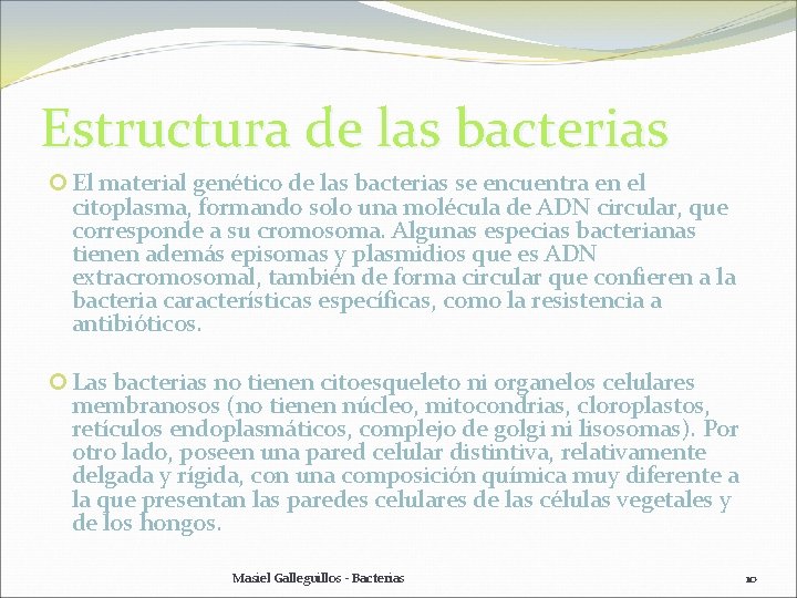 Estructura de las bacterias El material genético de las bacterias se encuentra en el